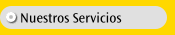 Nuestros Servicios
